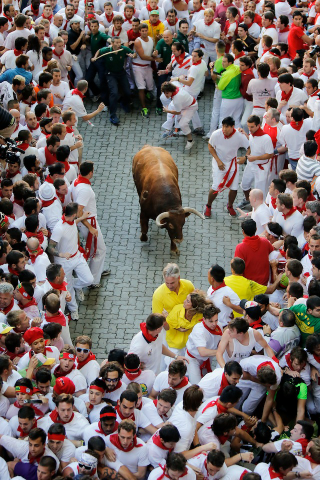 Illustration for article titled Where's Rex? Photos Of A Terrified Rex Ryan Running With The Bulls